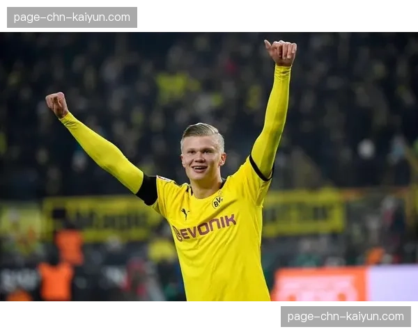 欧足联要求连续金属防冲栏，多特蒙德现有折叠座背需更换